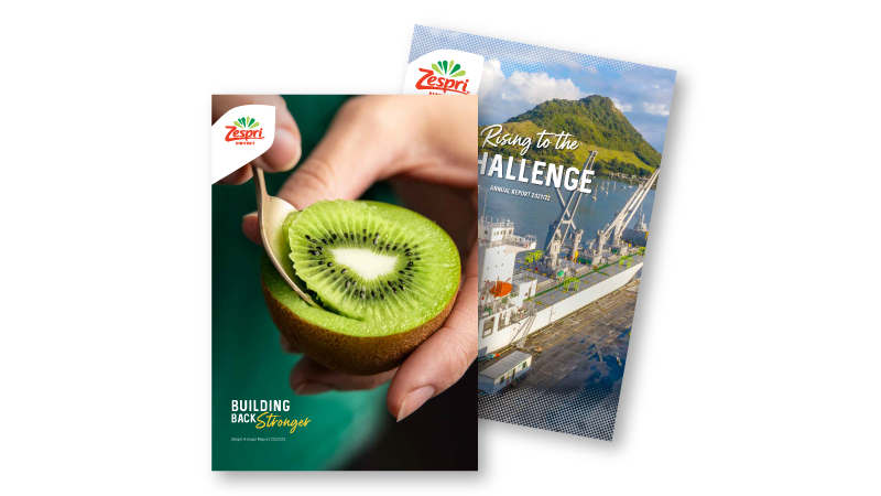 Annual report