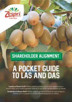 Pocket-Guide-LaS-DaS.pdf
