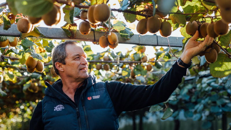 Kiwifruit 101