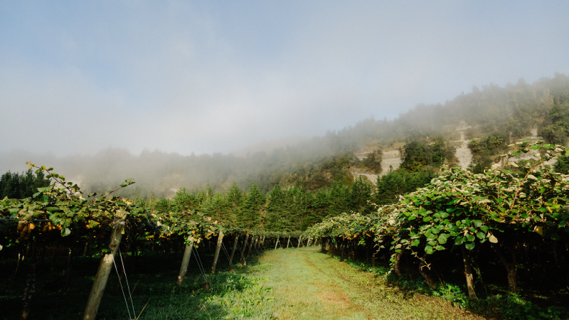 Resilient growing systems